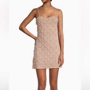 NWT $670 Oceanus Arabella Mini Beaded Dress in Nude
